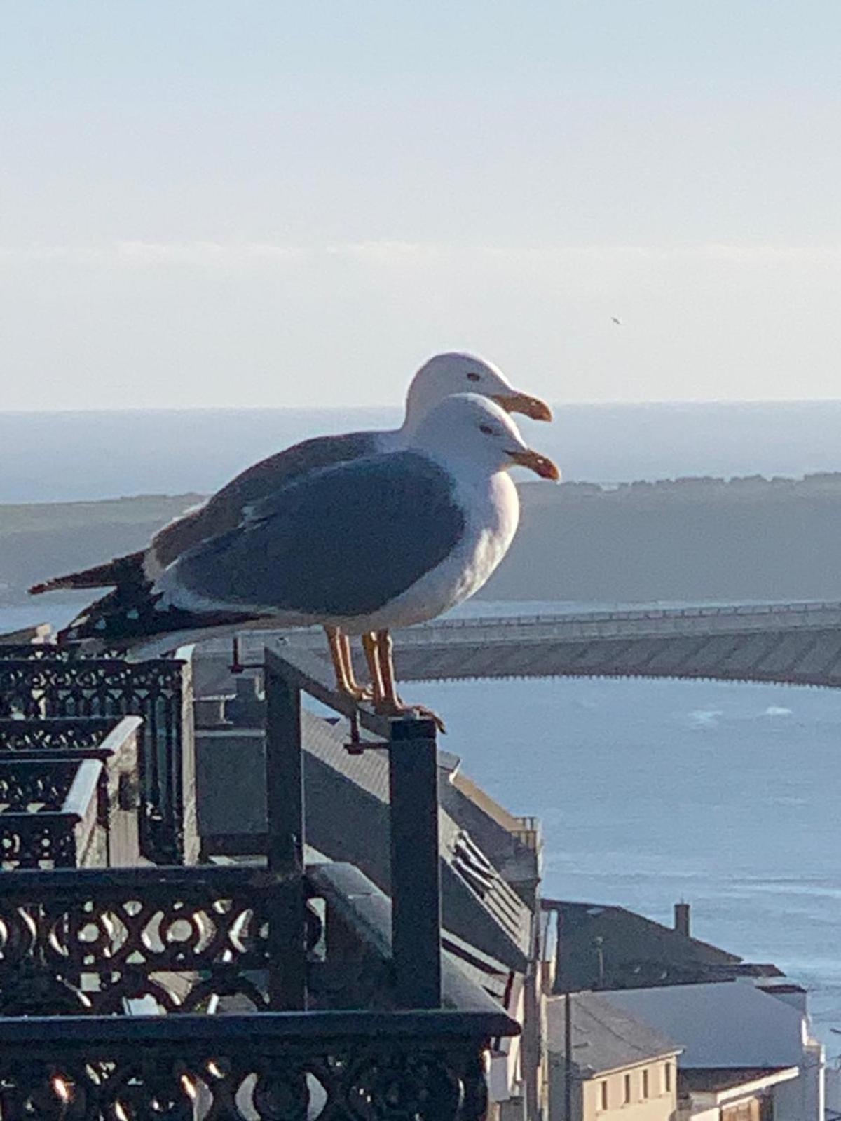 Moderno Piso Con La Mejor Terraza De Ribadeo Y Vistas Maravillosas Exteriör bild